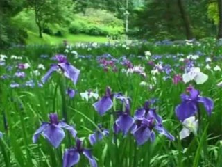 Hiraizumi, Japon - Un flambeau d'espoir ranimé