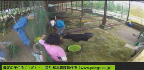 20130907  ふくちゃんの水桶