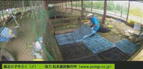 20130907　伊東先生　コンテナパレットを敷く