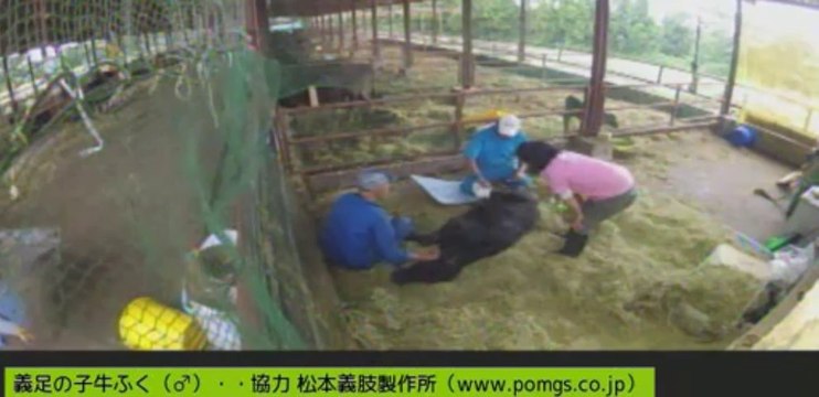 20130907　伊東先生　コンテナボード敷き