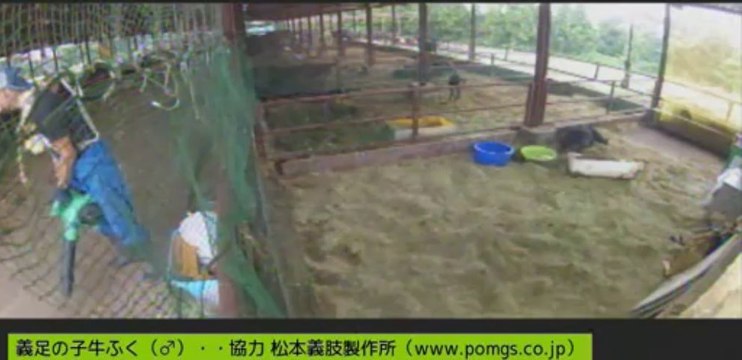 20130907　吉川さん　お掃除