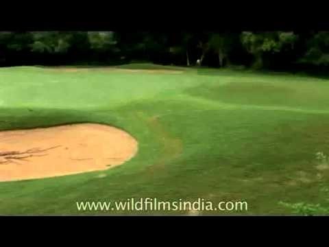One of the oldest golf-courses in Asia - Delhi Golf Club