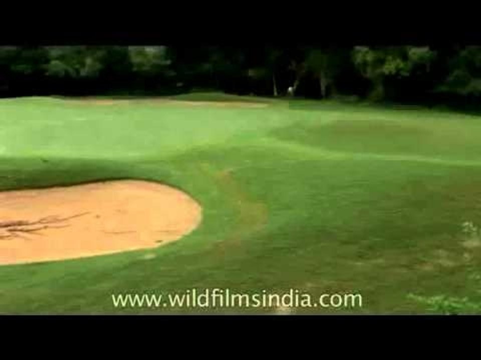 One of the oldest golf-courses in Asia - Delhi Golf Club