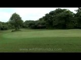 Delhi Golf Club - The traditional golfing club in Delhi