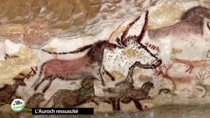 18h à savoir : l'aurochs "ressuscité"