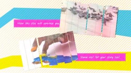 Color Presentation Project - After Effects Template