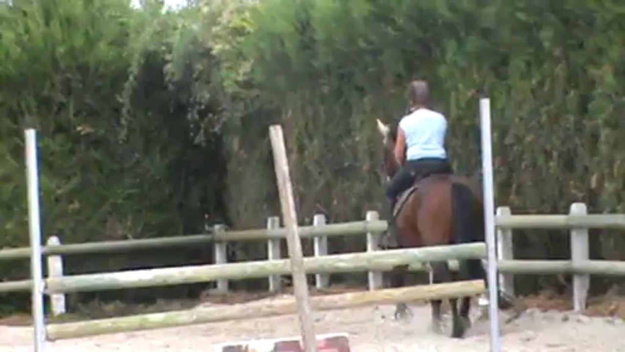 Abaco 3 ème séance d'obstacle*