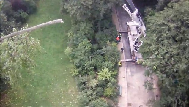 Demontage a la grue aux Buttes de chaumont