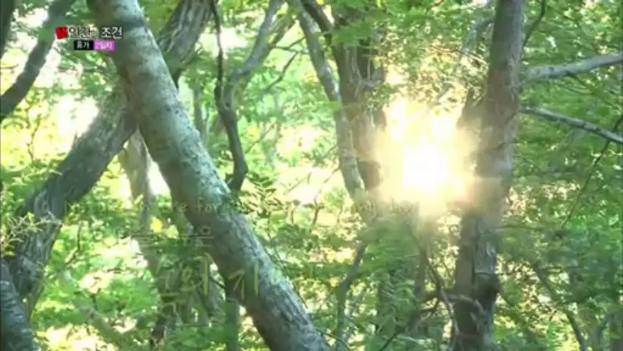 The Human Condition _ 인간의 조건 _ Conditions for a Vacation - Part 2 (2013.09.07)  2a