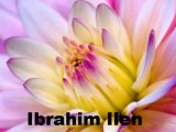 Ibrahim Ilen Propeller 
