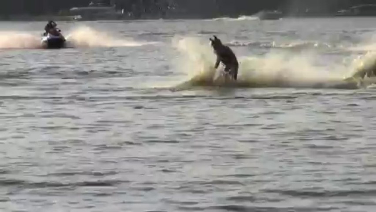 EME Micro 1200 Backflip One Hander Lander