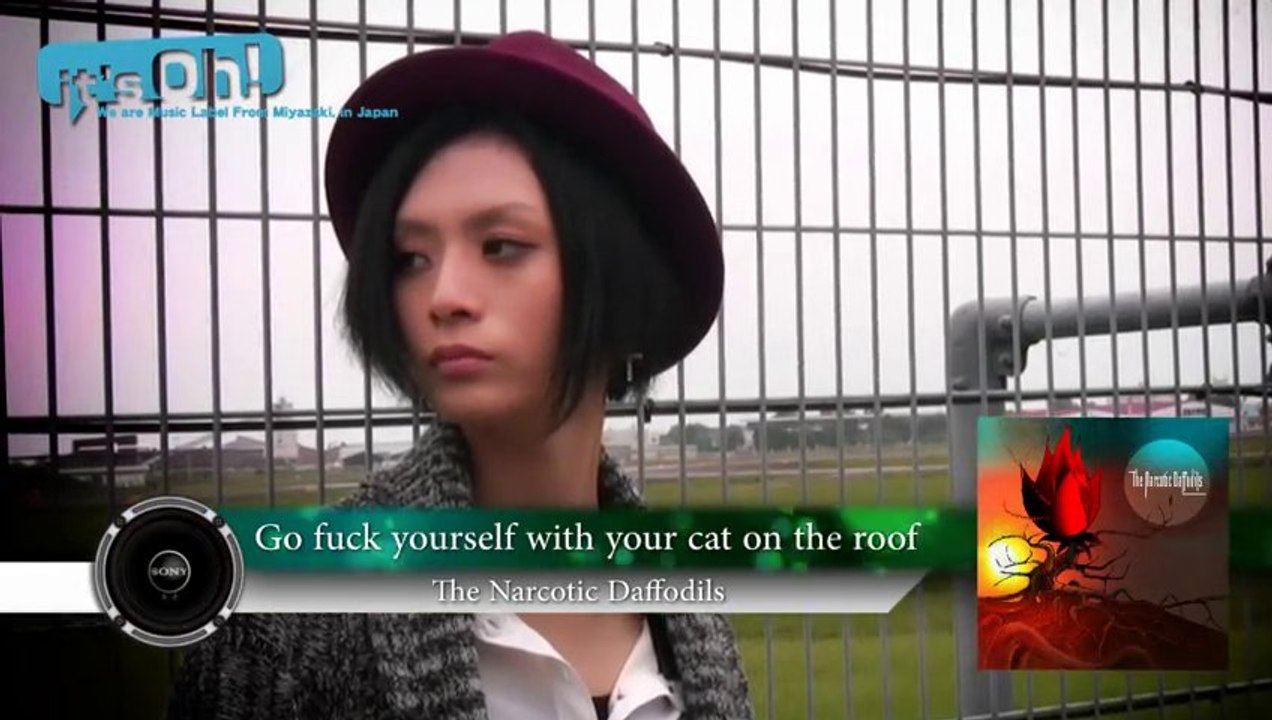 Video News Spin-off#8  The Narcotic Daffodils "Go fuck yourself with your cat on the roof"