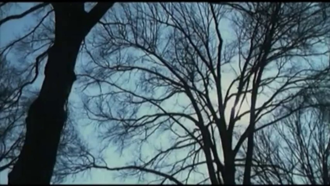 [Bande Annonce] 21 grammes