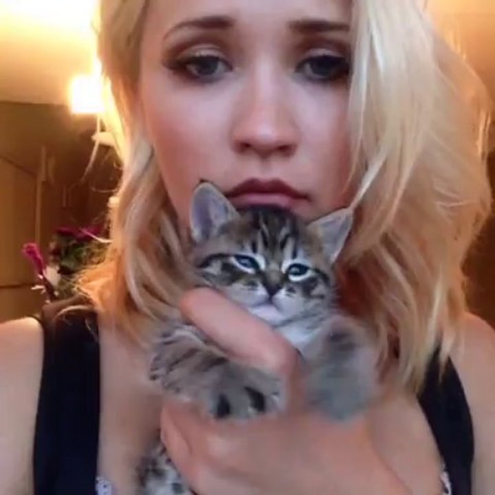 Kitty playing imaginary piano... so cute...