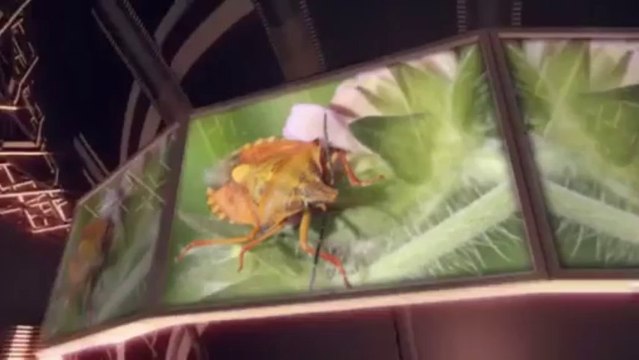 R.A.T.S. (714) 838-0786