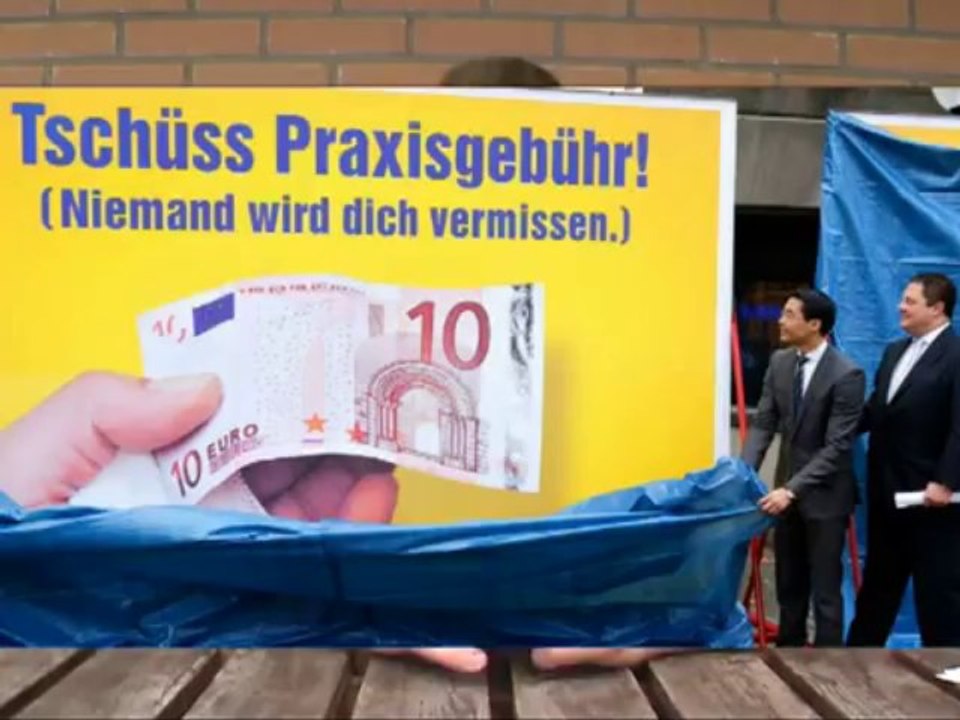 Bundestagswahl 2013 - die FDP. Vorabanalyse von Bauer Heinrich Schulte-Brommelkamp