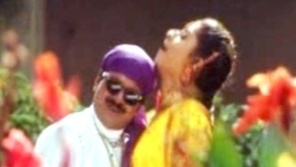 Allari Pellam Songs  Jili Bili Sogasulu  Subha Sri, Sivaji Raja - HD