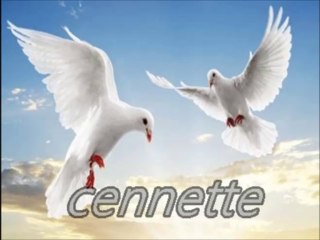 abdurrahman önül cennette