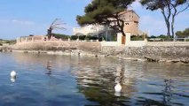 Site Natura 2000 - PATROUILLE NAUTIQUE de SIX-FOURS-LES-PLAGES