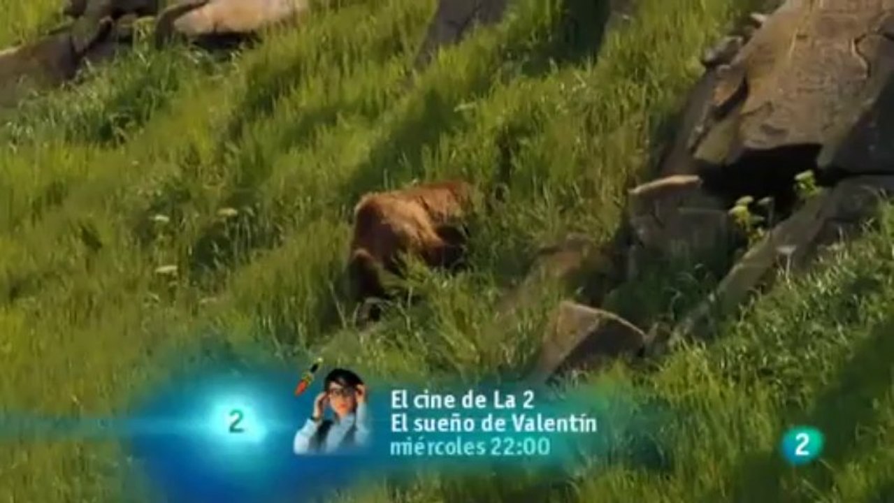 Osos de la última frontera - Ciudad de osos