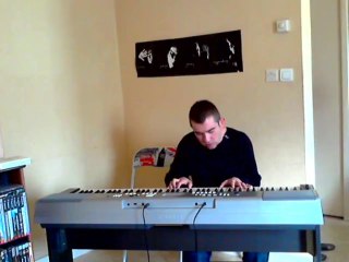 Sting - Fields of gold ( acoustic cover )