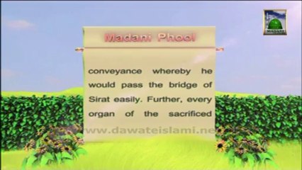 Islamic Information 05 -  Sacrifice Purchasing Expense - Qurbani Special English