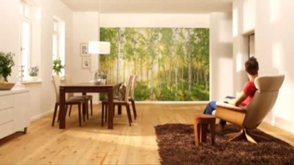 Te presentamos los fotomurales Komar, la manera mas fácil de decorar tu casa.