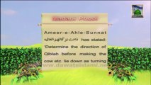 Islamic Information 07 - Qiblah Direction - Qurbani Special English