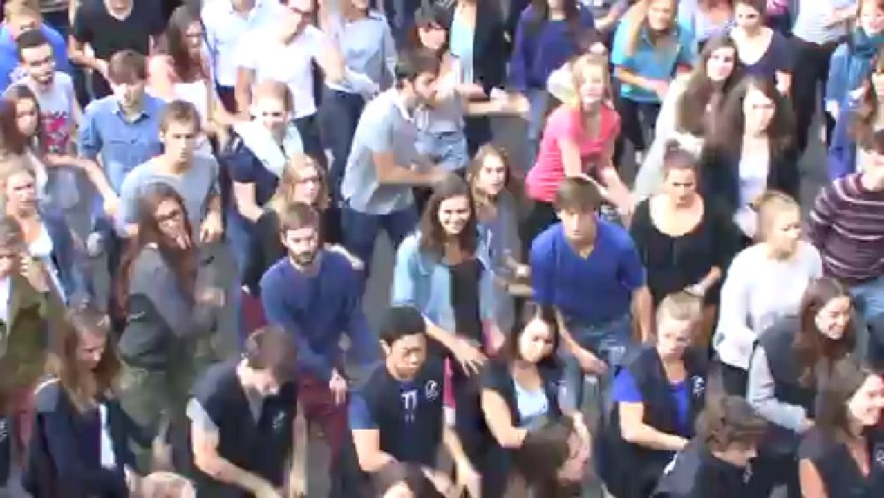 Triathlon Audencia-La Baule 26ème édition - Flashmob 2013