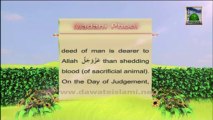 Islamic Information 10 - Blood of Animal - Qurbani Special English
