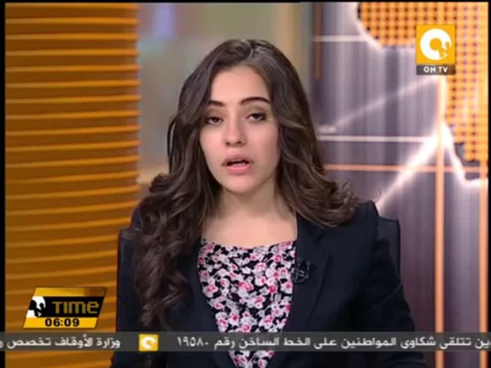 نبيل فهمي يستضيف عددا من ممثلي الوكالات والصحف الأجنبية