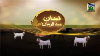 Promo 13 - Faizan e Eid ul Adha  - Animated Video