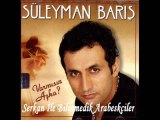 Süleyman Barış - Maviş Maviş