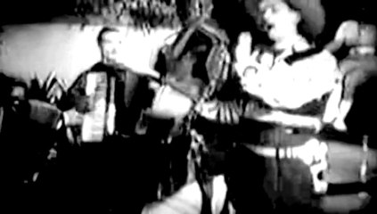 BOB NELSON  _ COMO É BURRO  O  MEU  CAVALO VIDEO CLIP