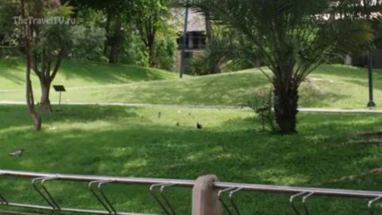 Thailand, Bangkok. Parks Benjakitti