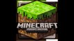 Cuidado al jugar Minecraft Pocket edition