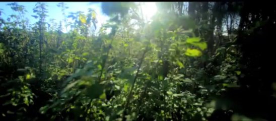 NOWHERE'S PARADIS-Bande annonce 2013