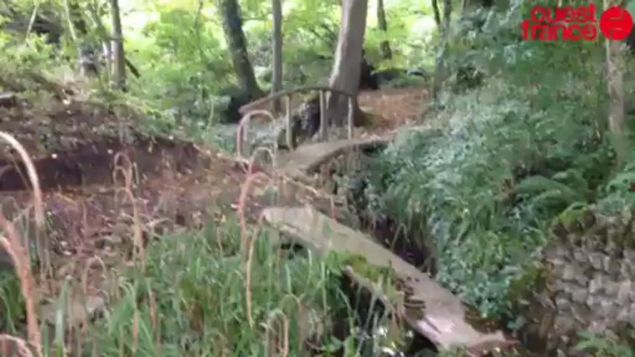 Les Trois étangs s'ouvrent aux visiteurs - Les Trois étangs s'ouvrent aux visiteurs