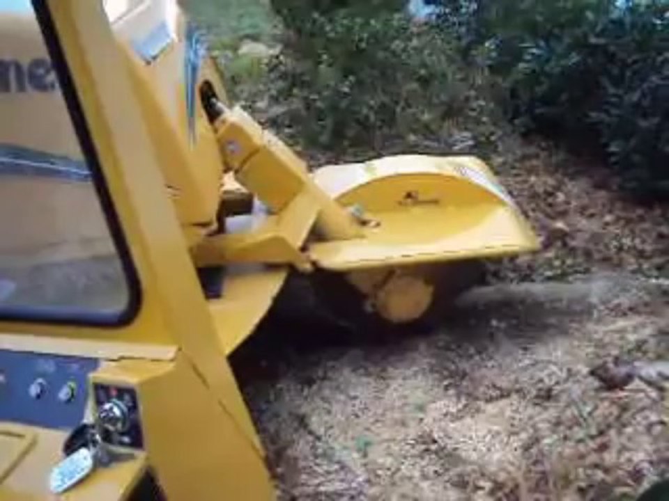 Stump Removal By AAA Tree Services