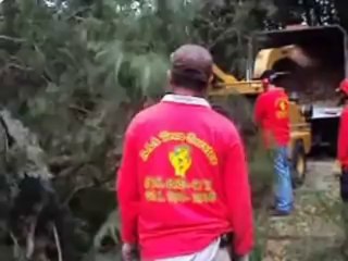 Tree Removal Experts-AAA Tree Services NY