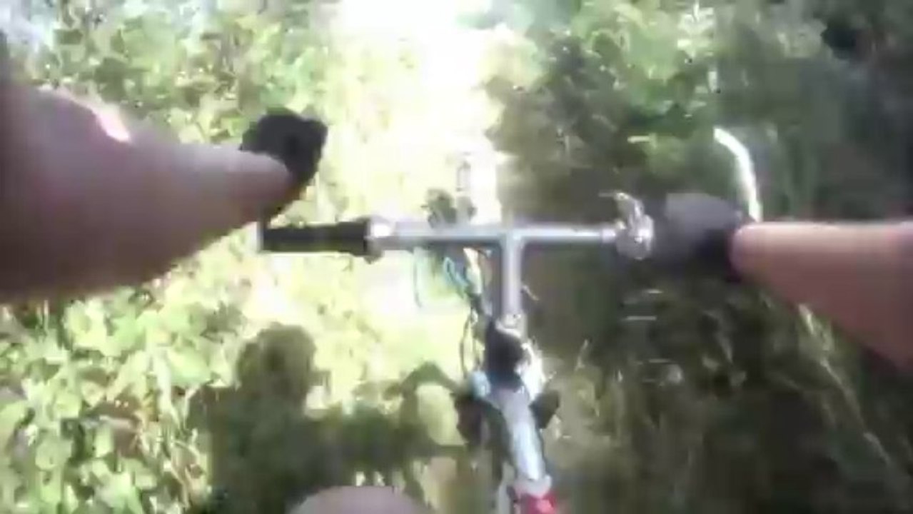 cani vtt compete 2 demo