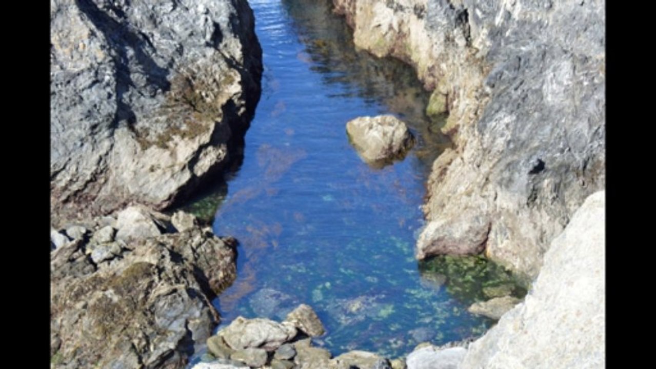 belle ile 7 et 8 sept 13cinq