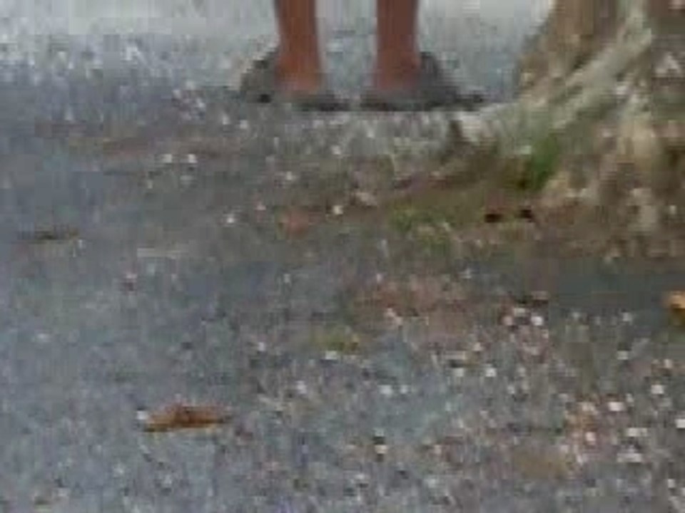 La pétanque