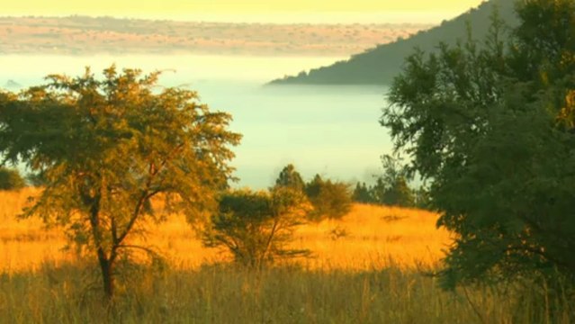 Prince William to swap armed forces for charity duties