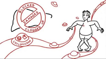 Weight Loss Video - by Fat Loss Factor Review Site