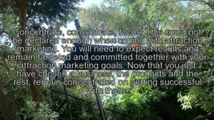 Attraction marketing, Producing the Most From Your Efforts