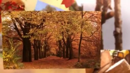 Abrasive Tree Service (601) 202-0952