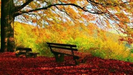 Dứt Khoát - Thanh Hiền ft. Nguyễn Đình Vũ