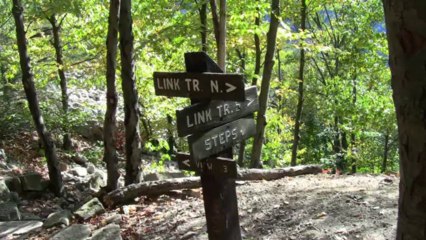 Hiking the 1000 steps near Mt Union, PA