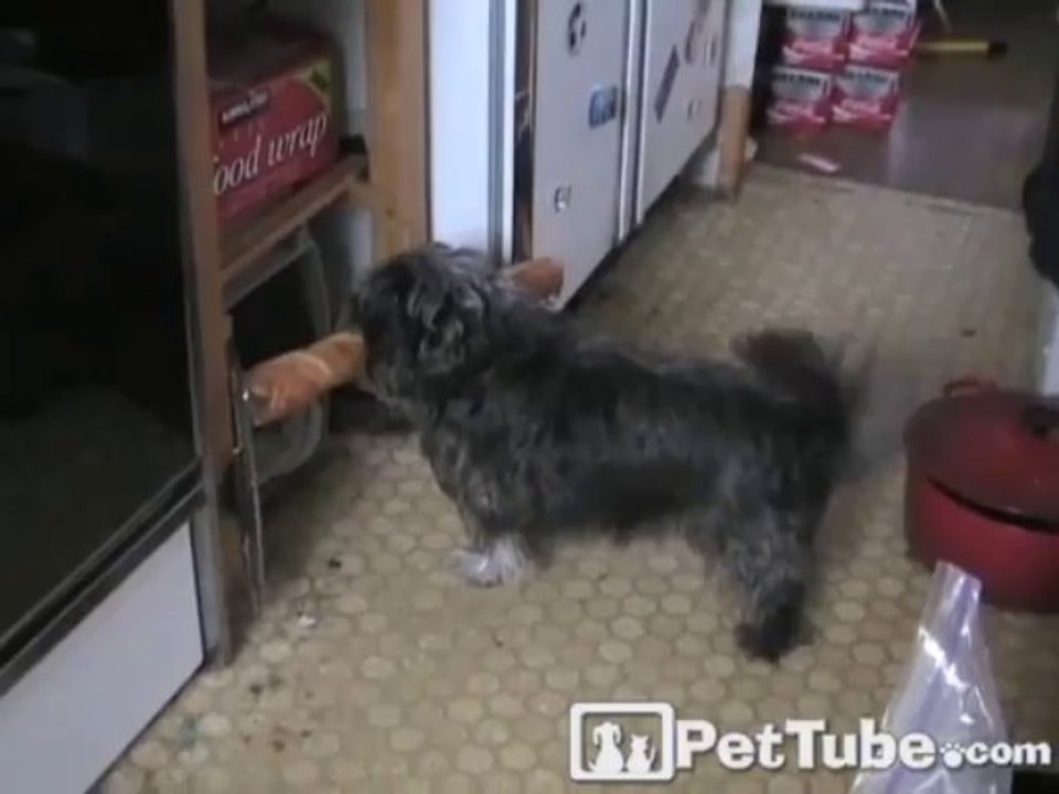 Dudley’s Baguette Nightmare